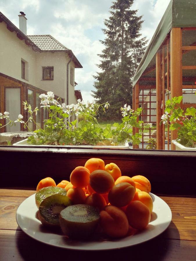 Statek "Two Brooms", Apartment Mírkovice المظهر الخارجي الصورة